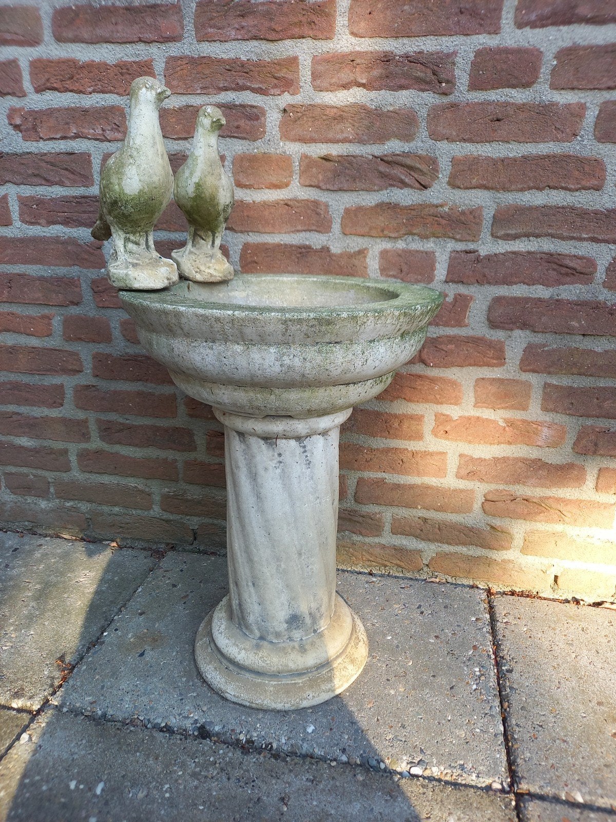 Vogeldrinkbak, vogelbad, plantenbak, brocante k, Ophalen, Gebruikt, Beton