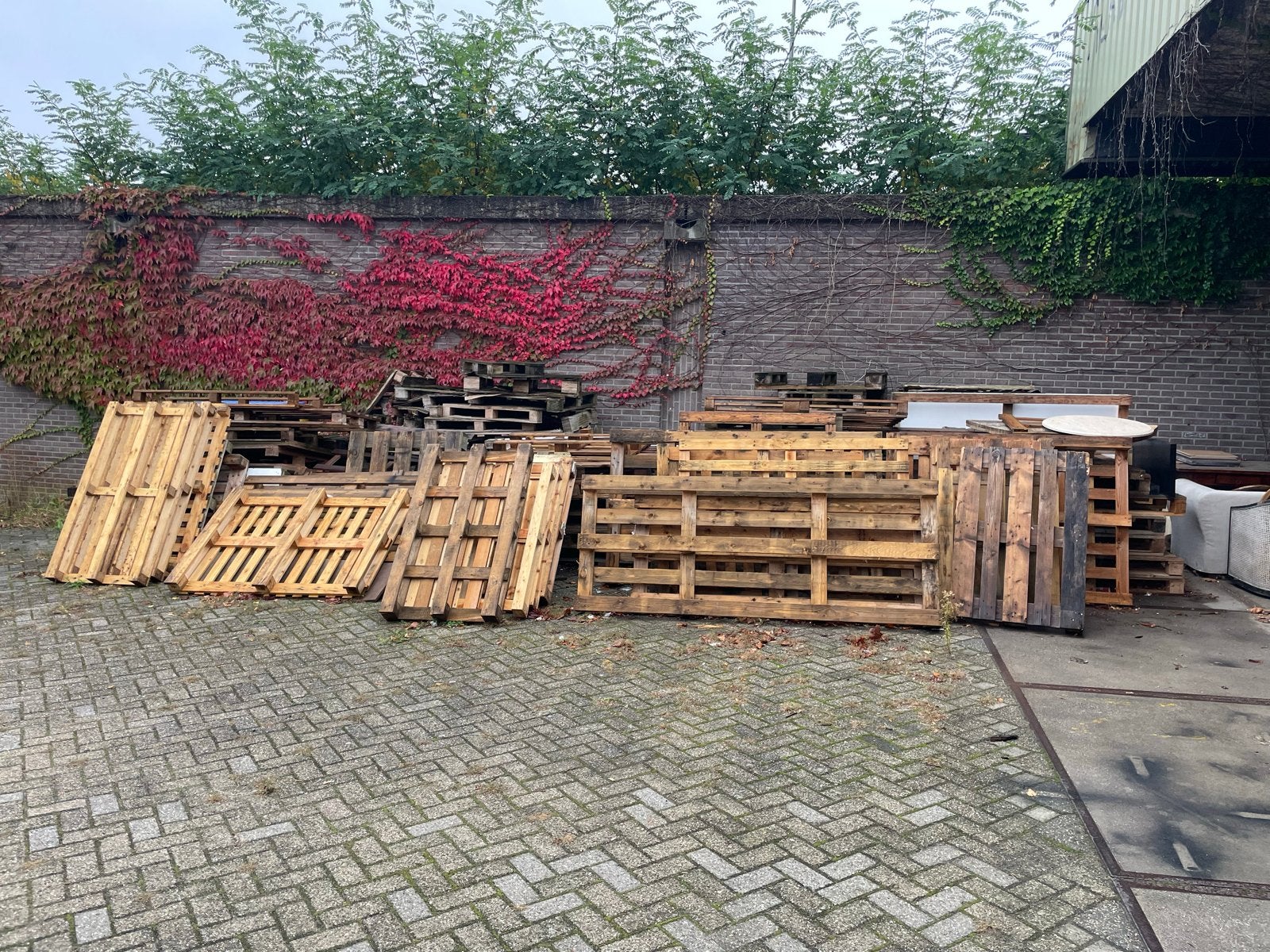Gratis Pallets Af Te Halen - Diverse Maten en Soorten, Ophalen, Gebruikt, Hout, 100 mm of meer