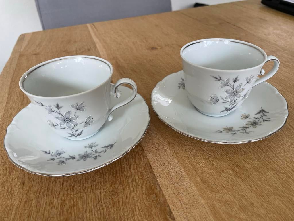 Bavaria Schumann Arzberg kop en schotel set, Ophalen