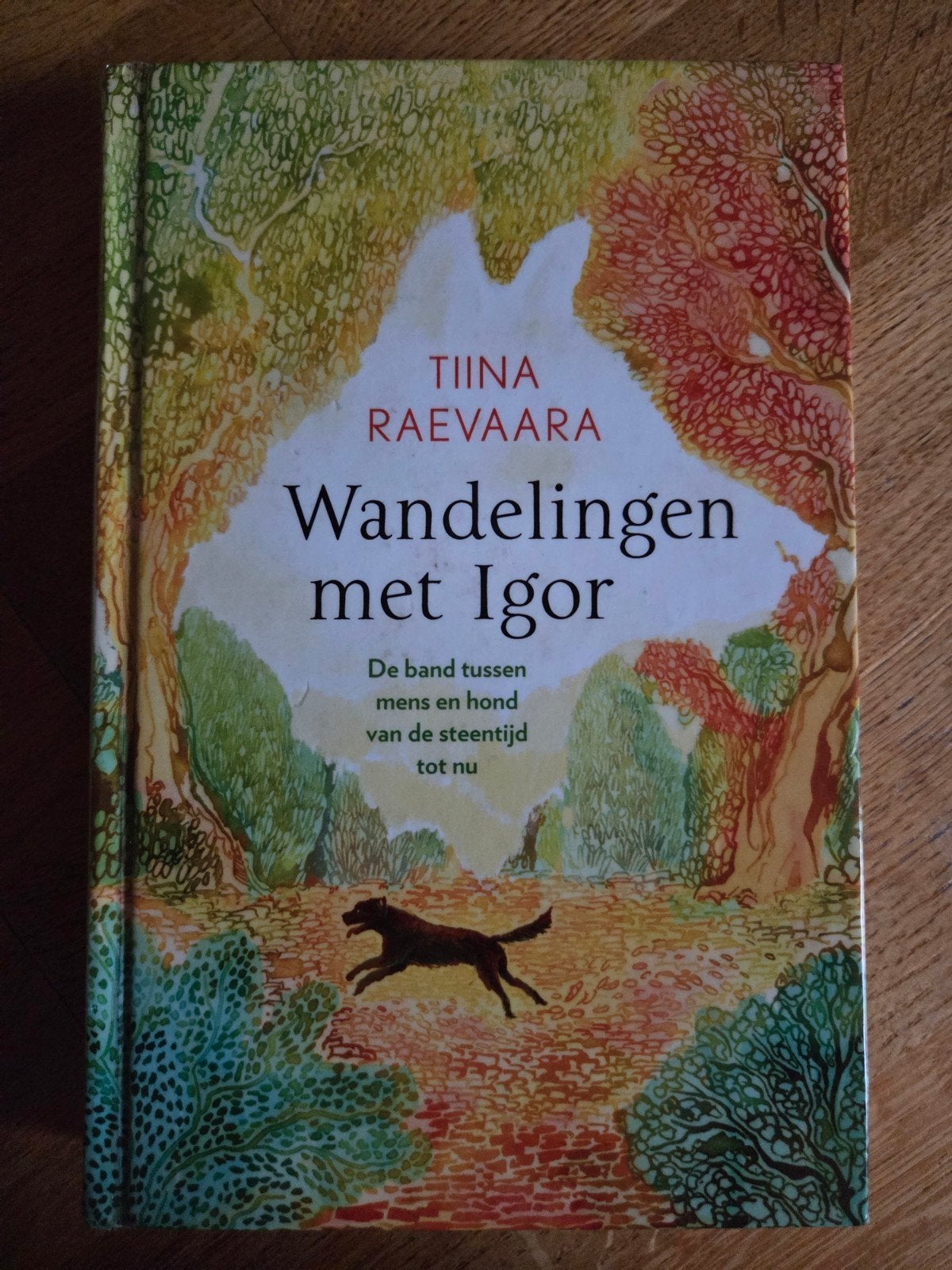Tiina Raevaara - Wandelingen met Igor, Ophalen of Verzenden, Gelezen, Tiina Raevaara