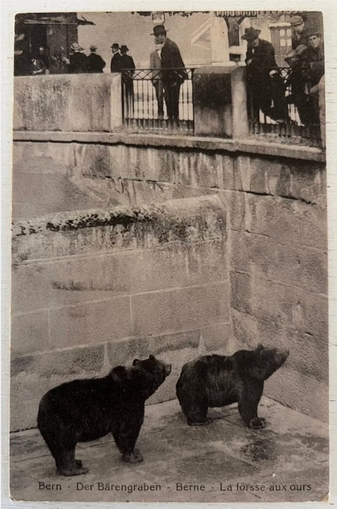 Oude Ansichtkaart - Bern - Der Bärengraben, Ophalen of Verzenden, 1920 tot 1940, Gelopen, Overig Europa