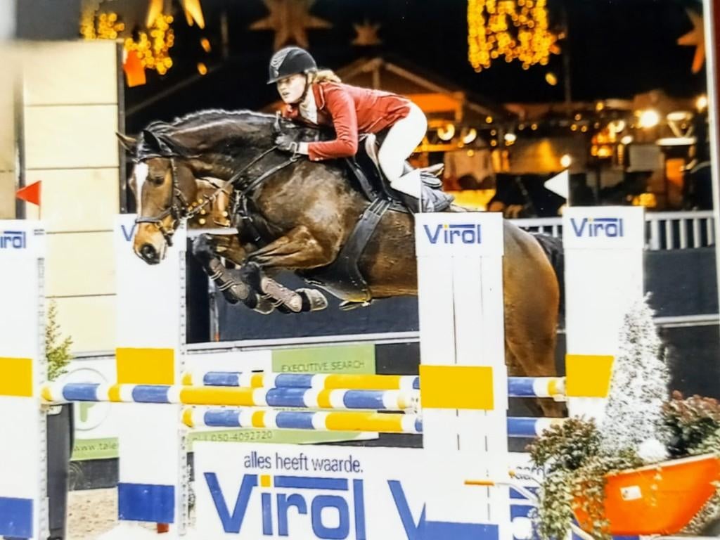 Talentvolle eerlijke KWPN merrie, Dieren en Toebehoren, Paarden, Merrie, Springpaard, Met stamboom, 11 jaar of ouder