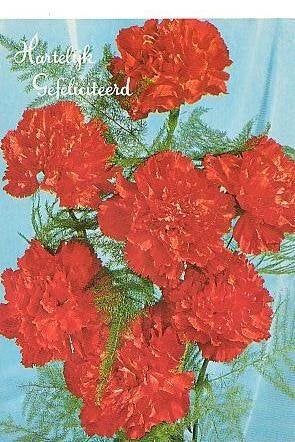 Ansichtkaart 	Bloemen	Anjers, Verzenden, 1960 tot 1980, Gelopen, Natuur