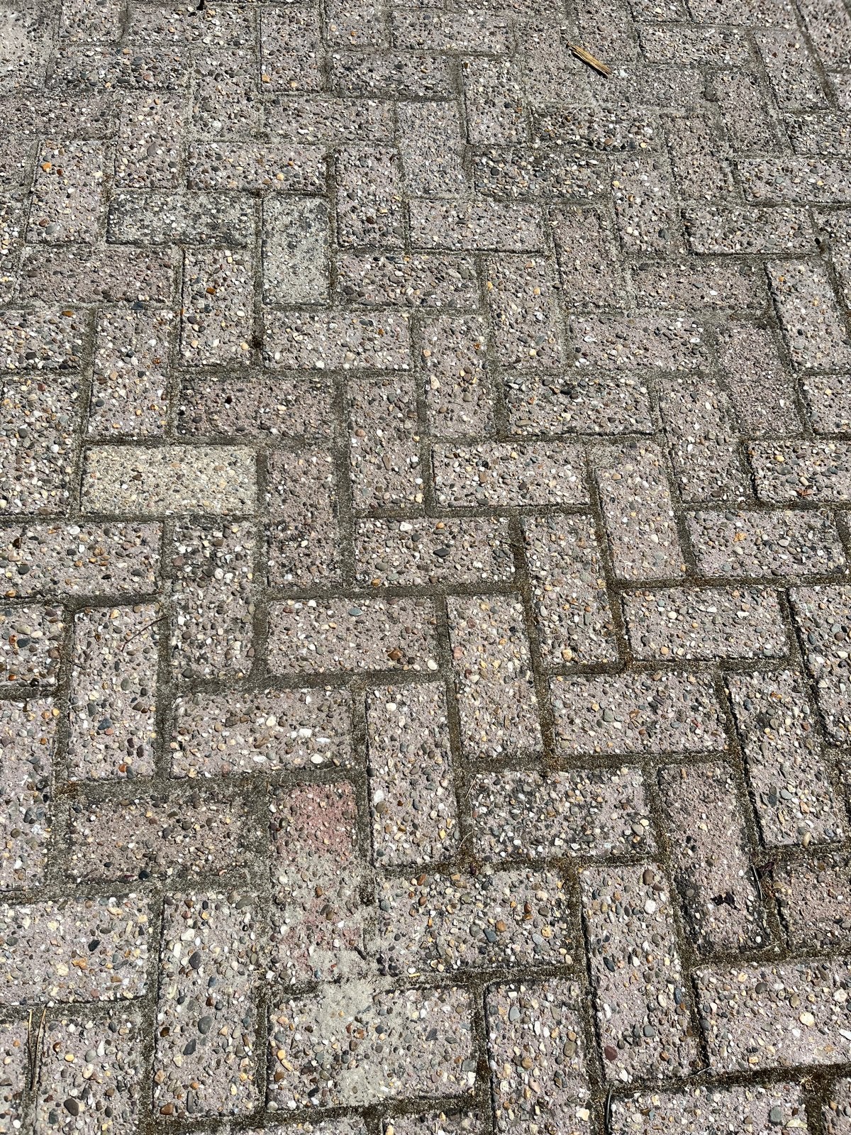 Gebruikte betonnen klinkers - Ideaal voor terras of oprit, Tuin en Terras, Tegels en Klinkers, Ophalen, Gebruikt, Klinkers, 10 m² of meer