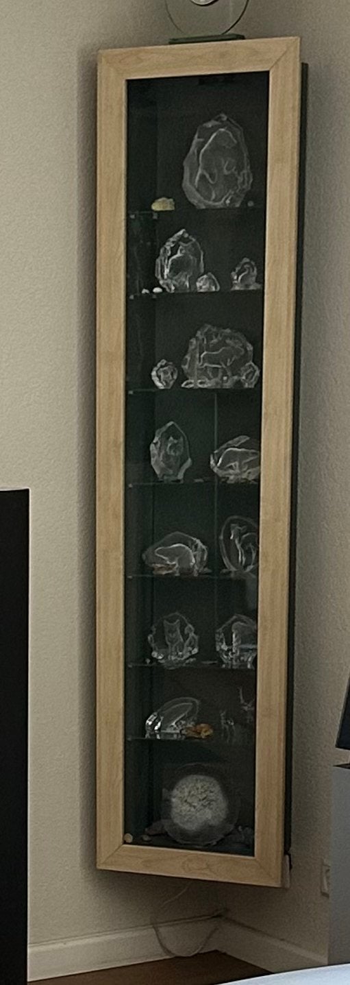 Slanke vitrinekast met glazen planken en houten frame, Ophalen, Minder dan 50 cm, Gebruikt, Minder dan 25 cm