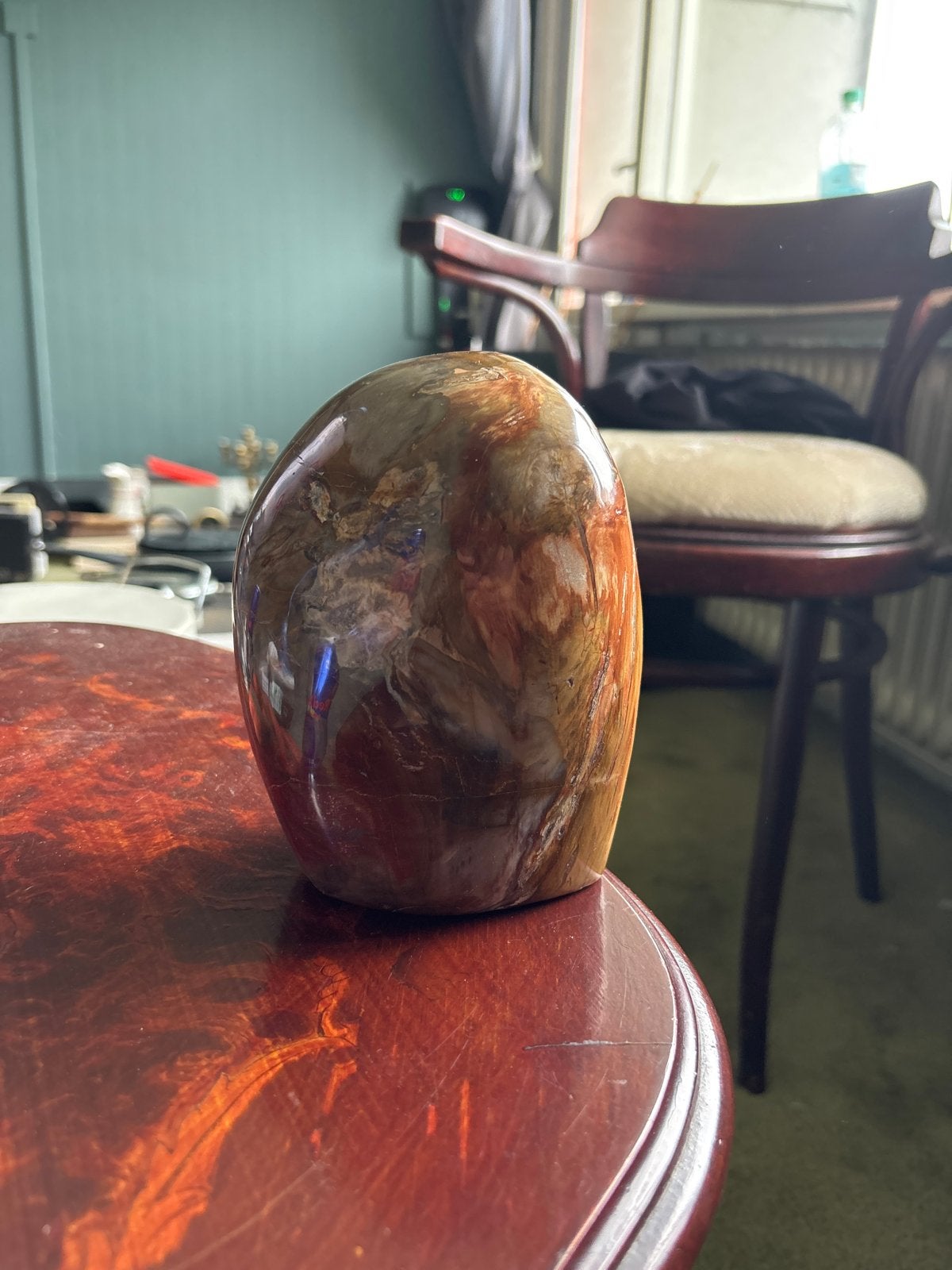 Decoratieve versteende houtsteen uit Madagaskar, Ophalen, Fossiel