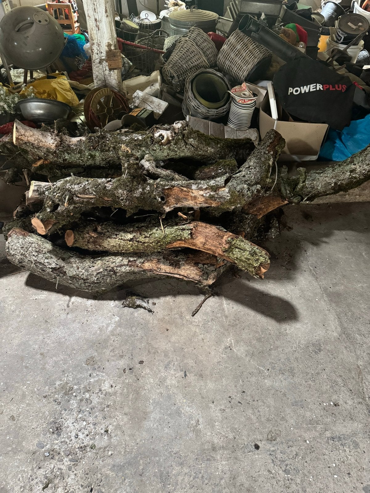 Houttakken voor terrarium, Dieren en Toebehoren, Ophalen, Nieuw, Terrarium of Paludarium