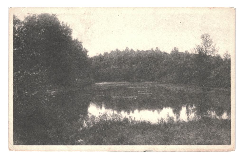 983734 Gorssel Meertje Gorsselsche heide Gld 1950 Gelopen