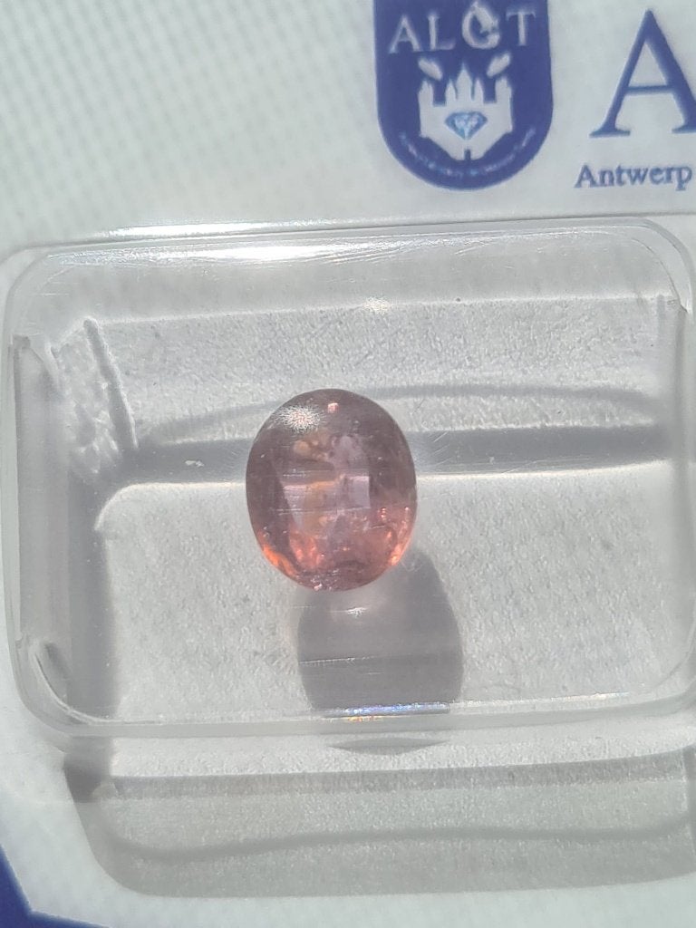 Padparadscha saffier (1.19 karaat) ALGT, Ophalen of Verzenden, Nieuw