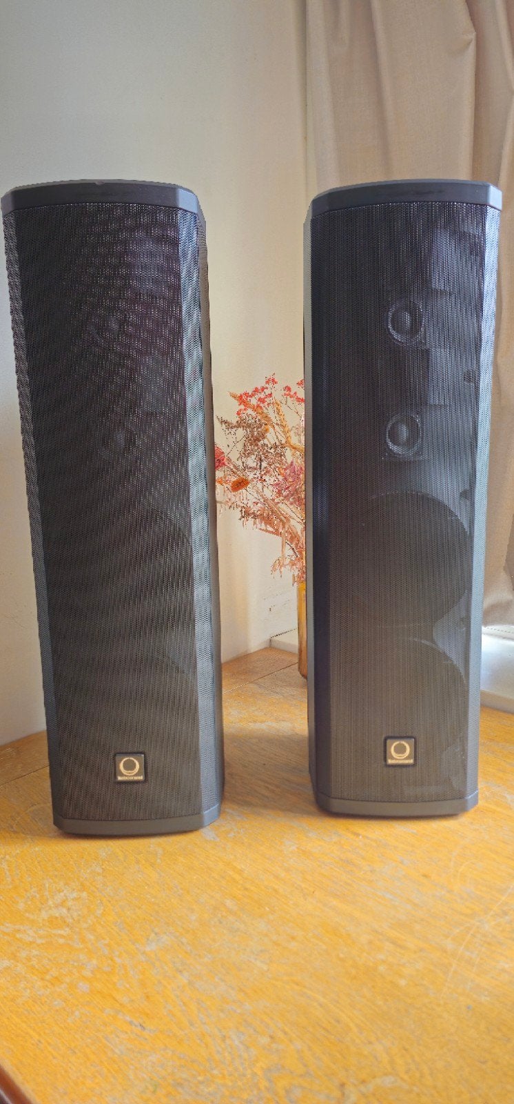 Turbosound IP300  Actieve PA Column Linearrayspeakers.