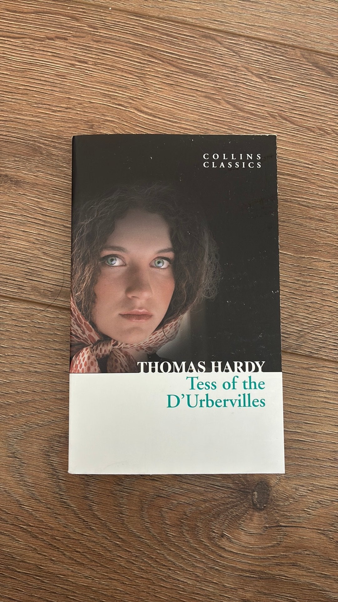 DAVID LODGE - TESS OF THE D URBERVILLES, Ophalen of Verzenden, Nieuw, DAVID LODGE