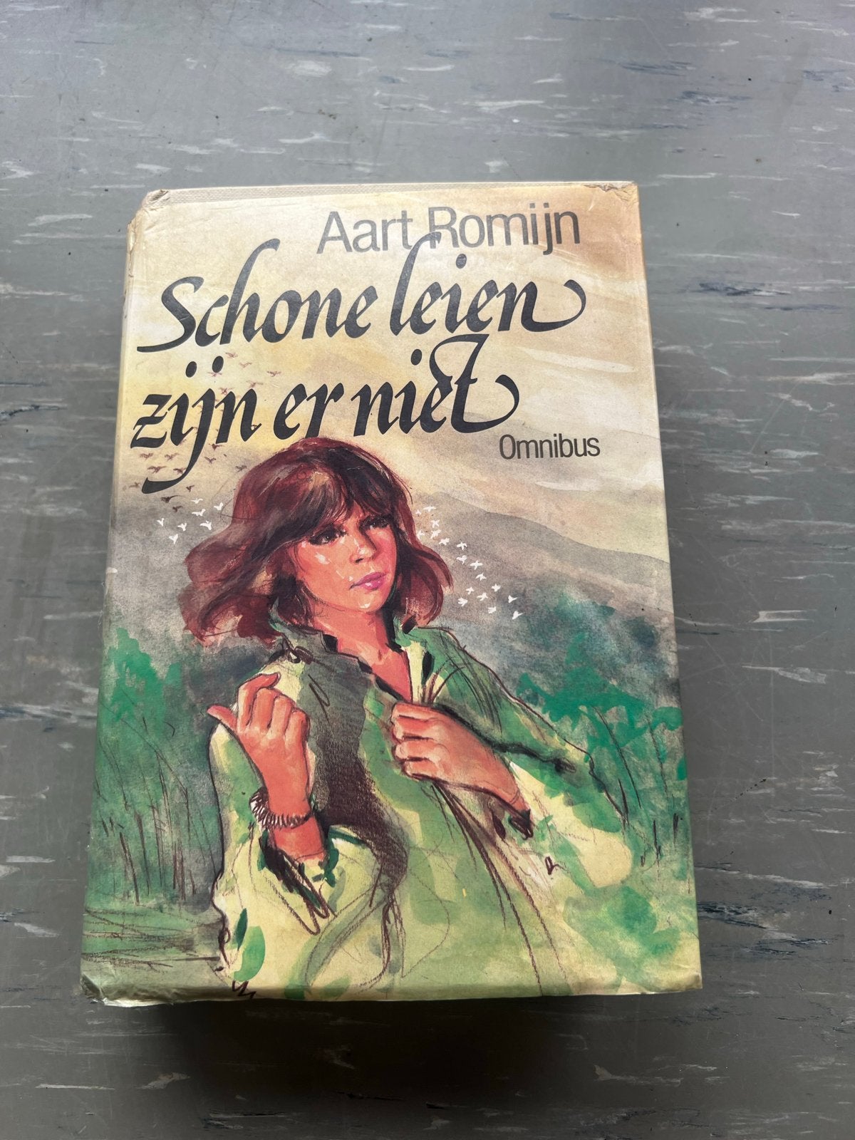 Schone leien zijn er niet - Aart Romijn (Omnibus), Boeken, Ophalen of Verzenden, Gelezen, Nederland