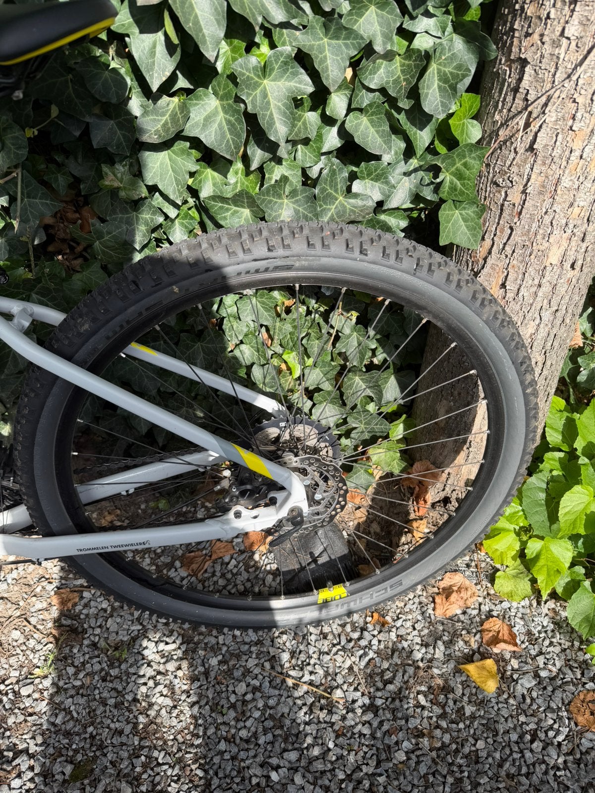 Foto 9 van Dames mountainbike Cube 17 inch