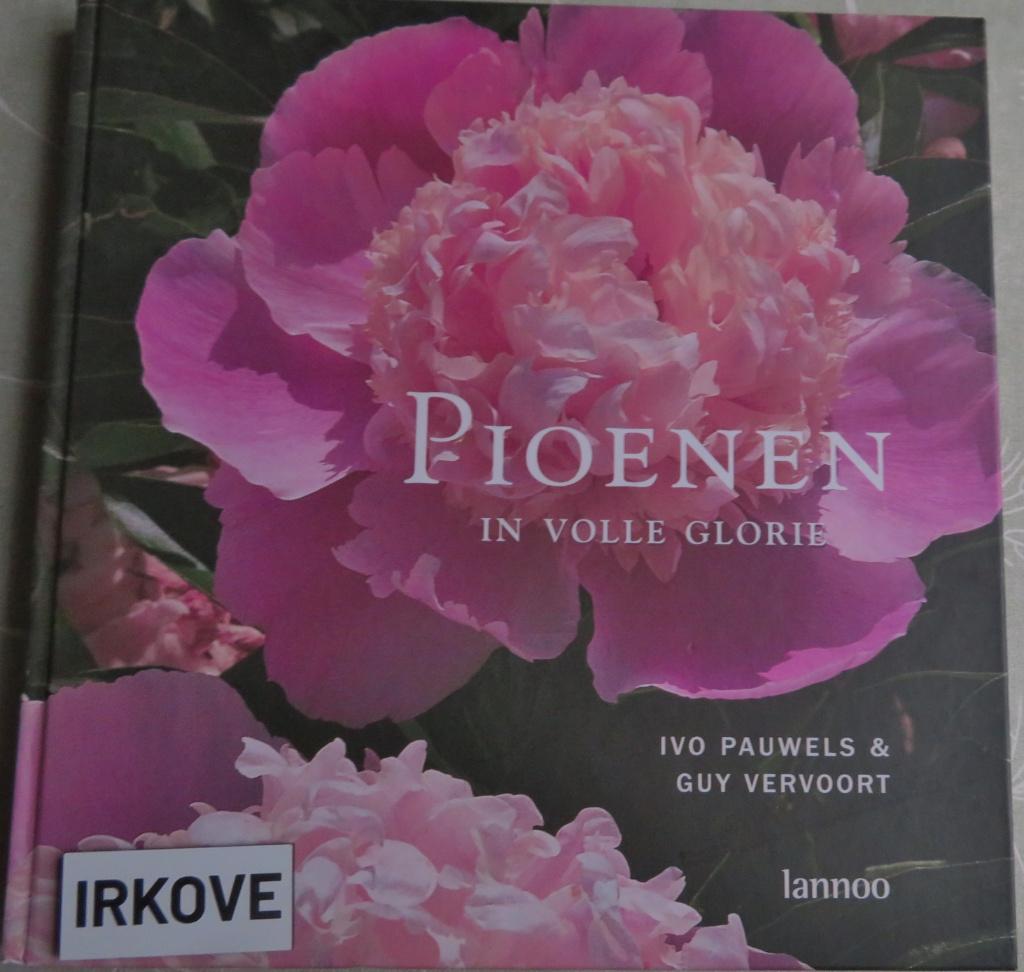 PIOENEN IN VOLLE GLORIE * Ivo Pauwels / Guy Vervoort *, Verzenden, Zo goed als nieuw, Ivo Pauwels / Guy Vervoort, Tuinieren en Tuinplanten