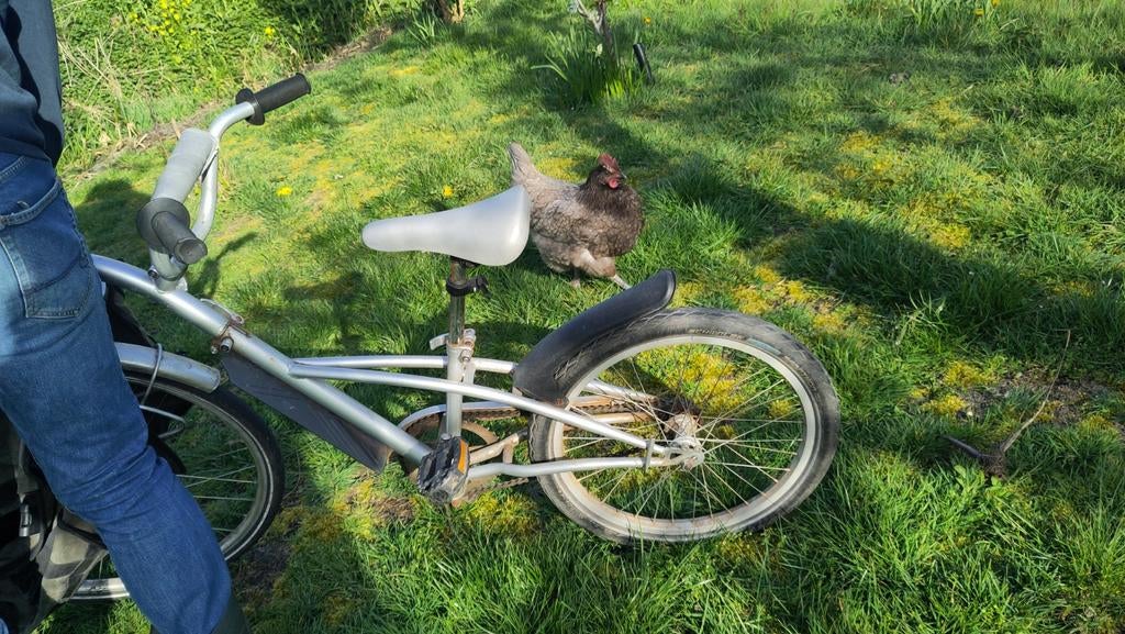 Aanhangfiets kind, Fietsen en Brommers, Fietsaccessoires | Aanhangers en Karren, Ophalen, Gebruikt, Aanhangfiets