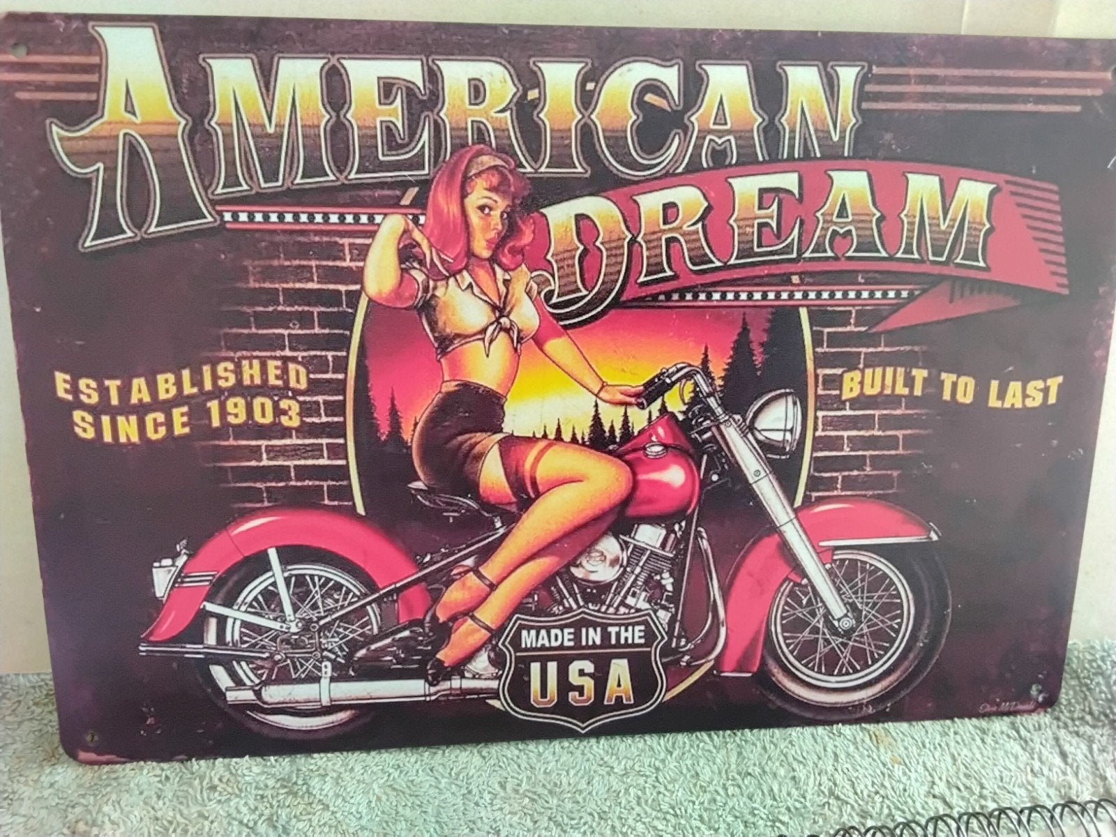 AMERICAN  DREAM  BUILT  TO  LAST, Ophalen of Verzenden