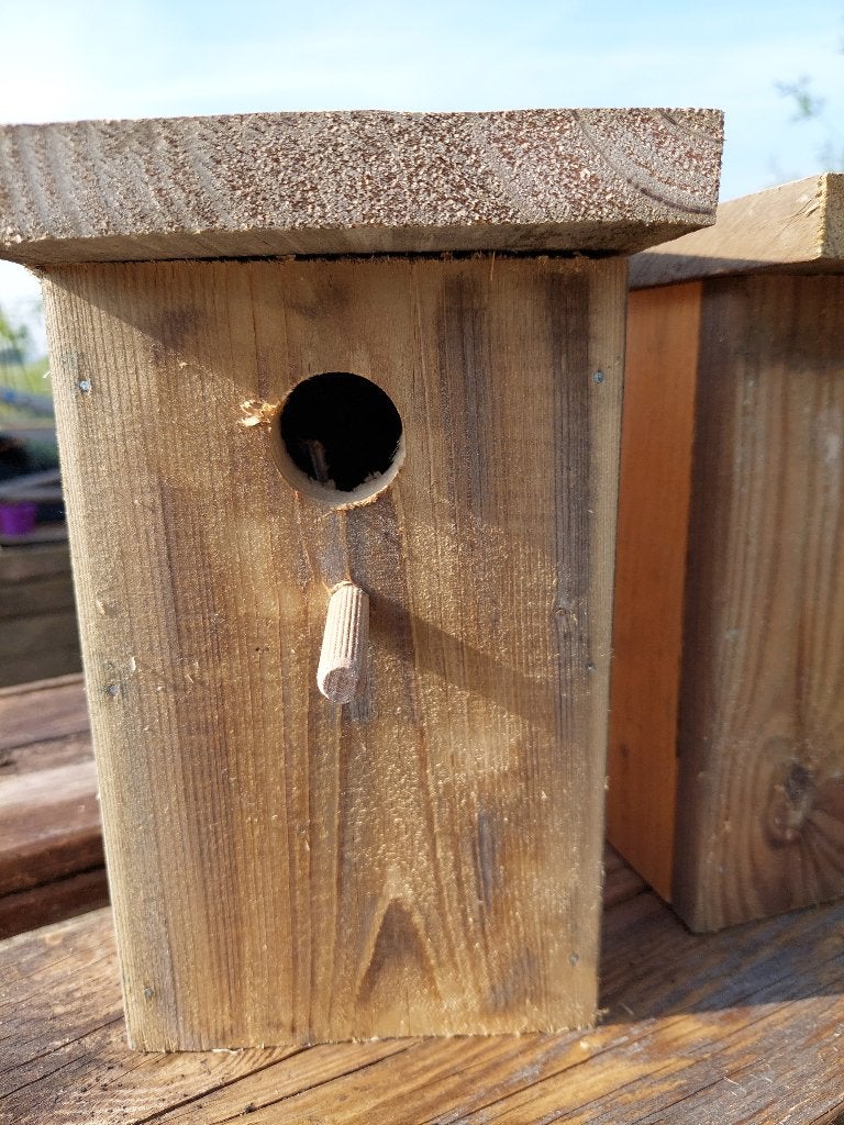 vogelhuisjes, Ophalen of Verzenden, Nieuw