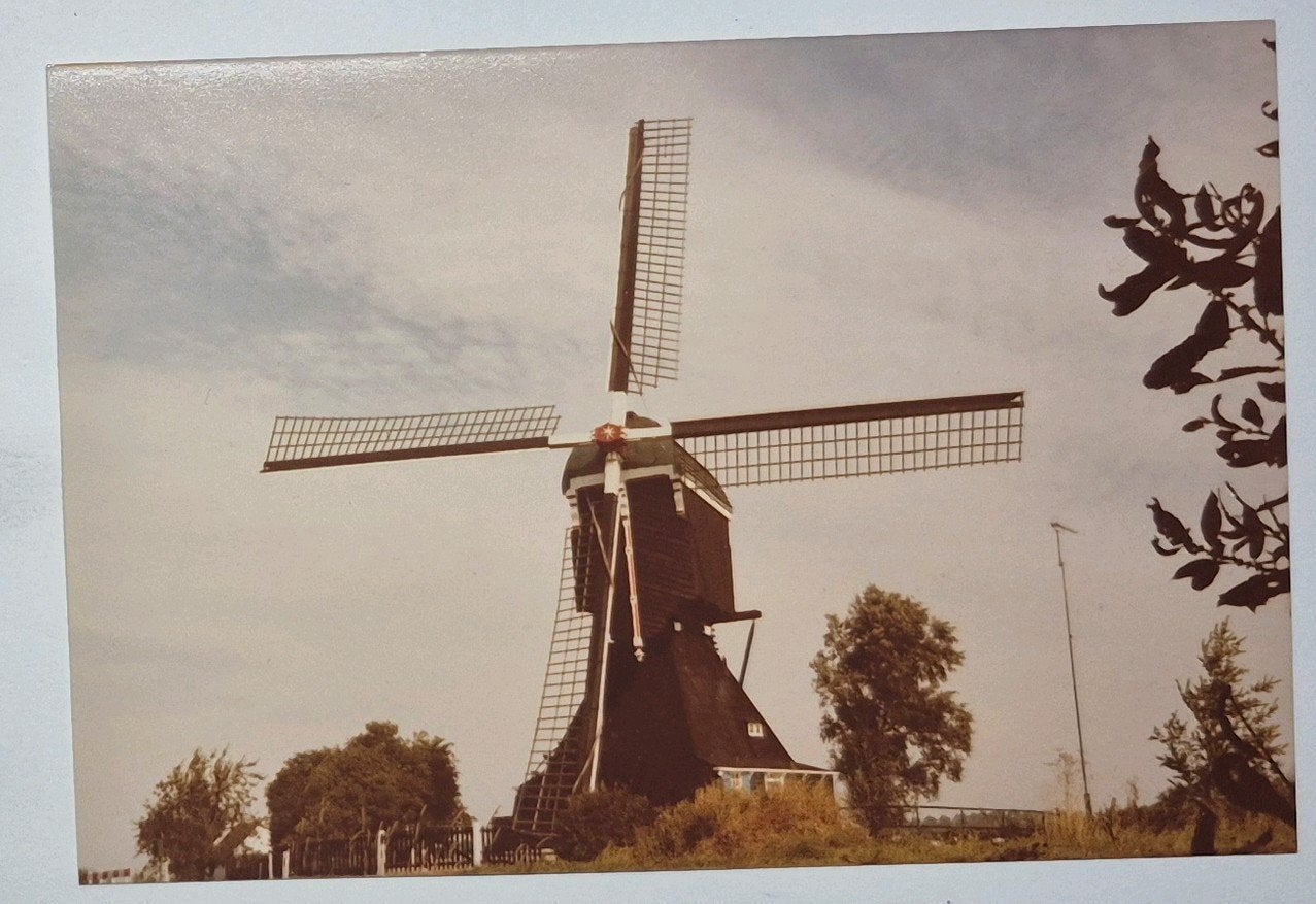 Hellouw bij Haaften ( Gld. ) Voorste Hellouwse Molen, 1960 tot 1980, Foto, Ophalen of Verzenden, Zo goed als nieuw