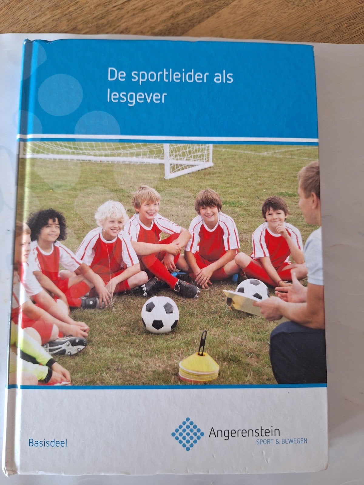 De sportleider als lesgever - Angerenstein Sport & Bewegen, Ed Furlings, Bert Geenen, Ophalen of Verzenden, Zo goed als nieuw