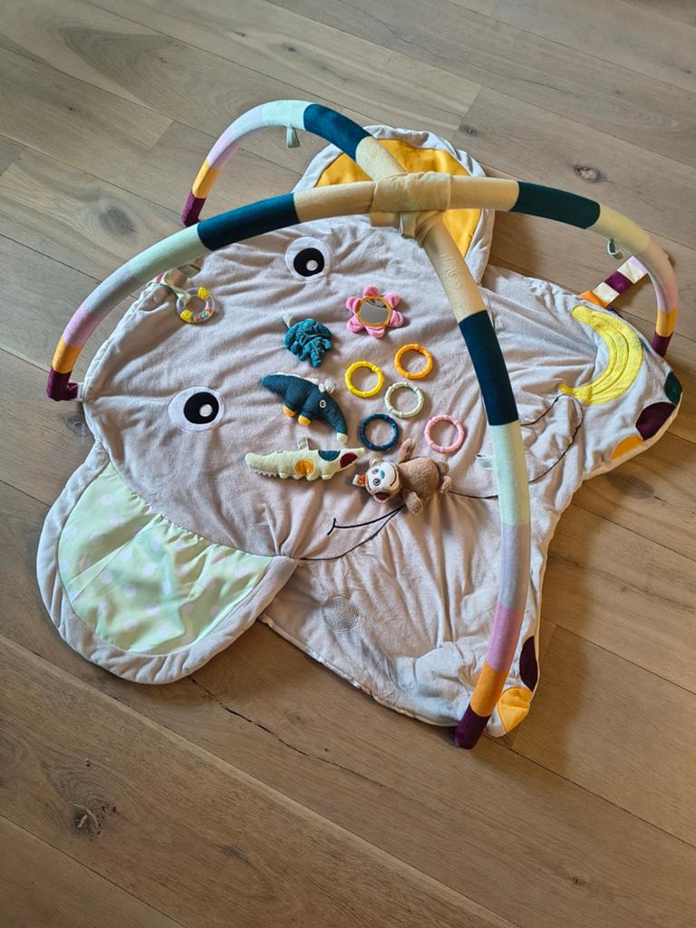 Lupilu Baby Activity Gym Speelkleed met speelbogen, Ophalen of Verzenden, Zo goed als nieuw, Speelkleed