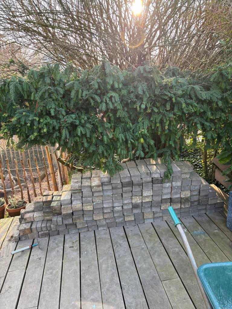Gratis af te halen: Beton straatstenen dikformaat (ca. 6m2), Ophalen, Gebruikt, Klinkers, 5 tot 10 m²