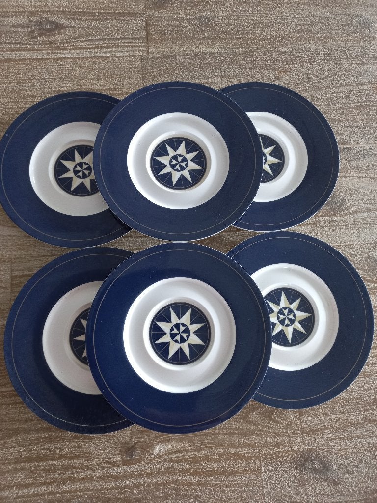6 Mepal Rosti Windroos schotels, Ophalen of Verzenden
