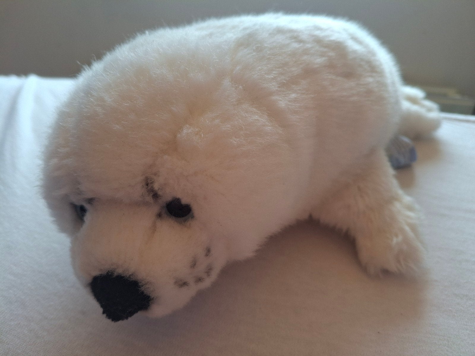 schattig zeehond knuffeltje, Ophalen of Verzenden, Zo goed als nieuw, Overige typen