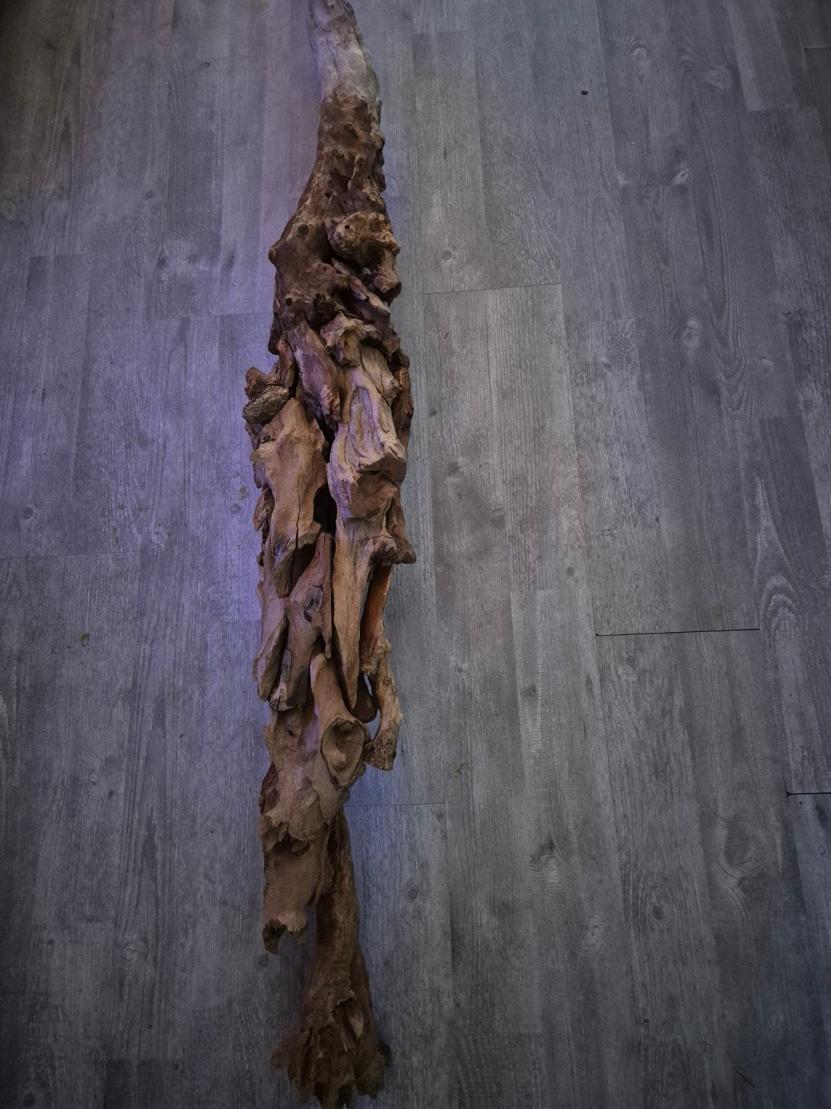 Mangrove hout, Ophalen