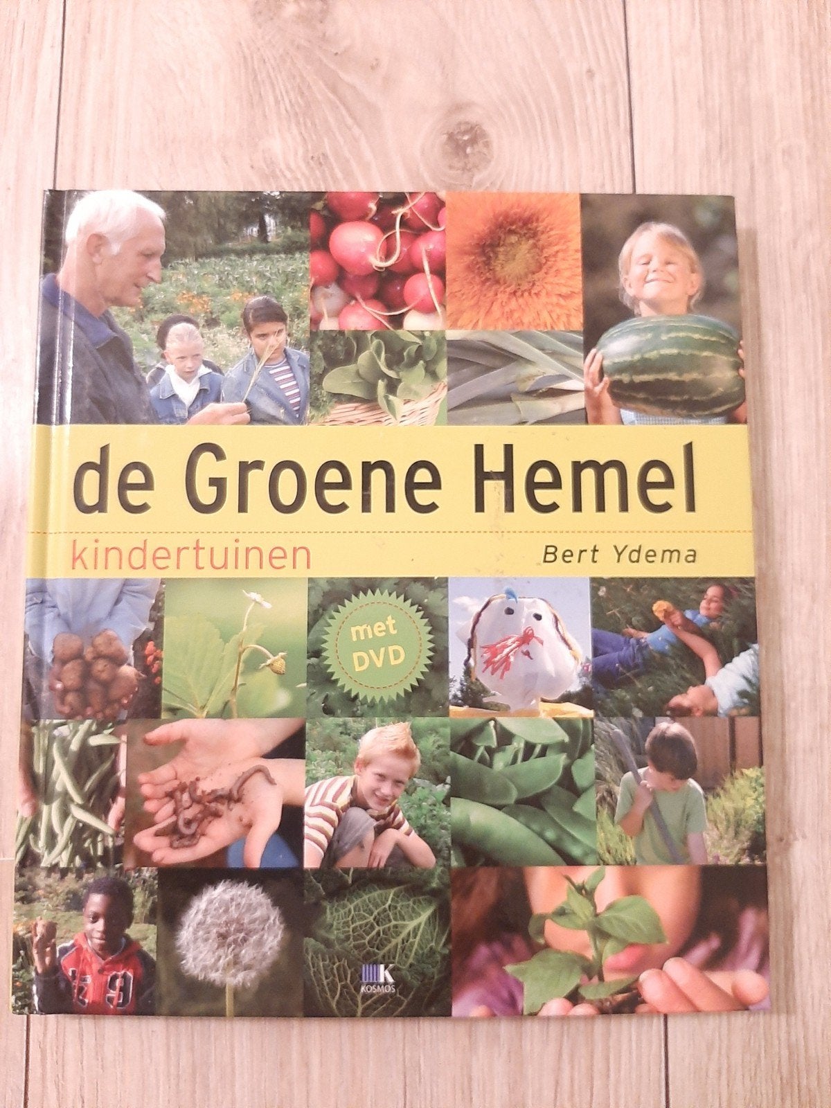 B. Ydema - De Groene Hemel, B. Ydema, Ophalen of Verzenden, Zo goed als nieuw, Interieur en Design
