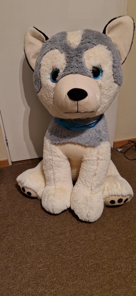 Grote knuffel hond husky +80 cm, Ophalen of Verzenden, Hond