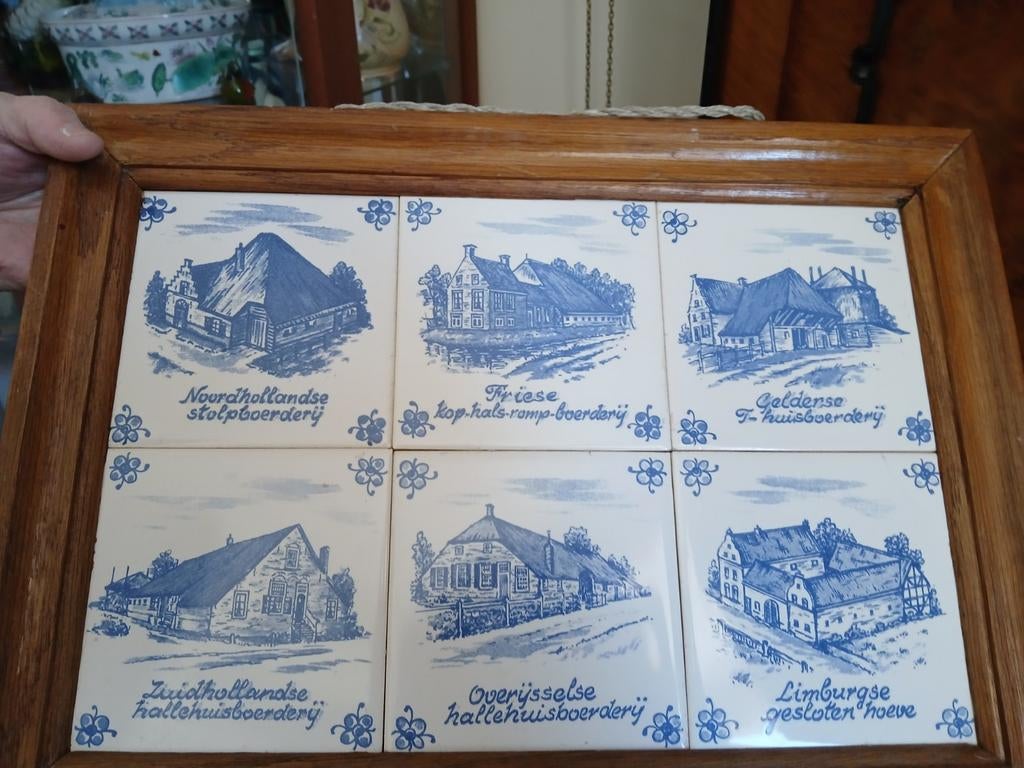 Mooi schiderijtje, Ophalen of Verzenden
