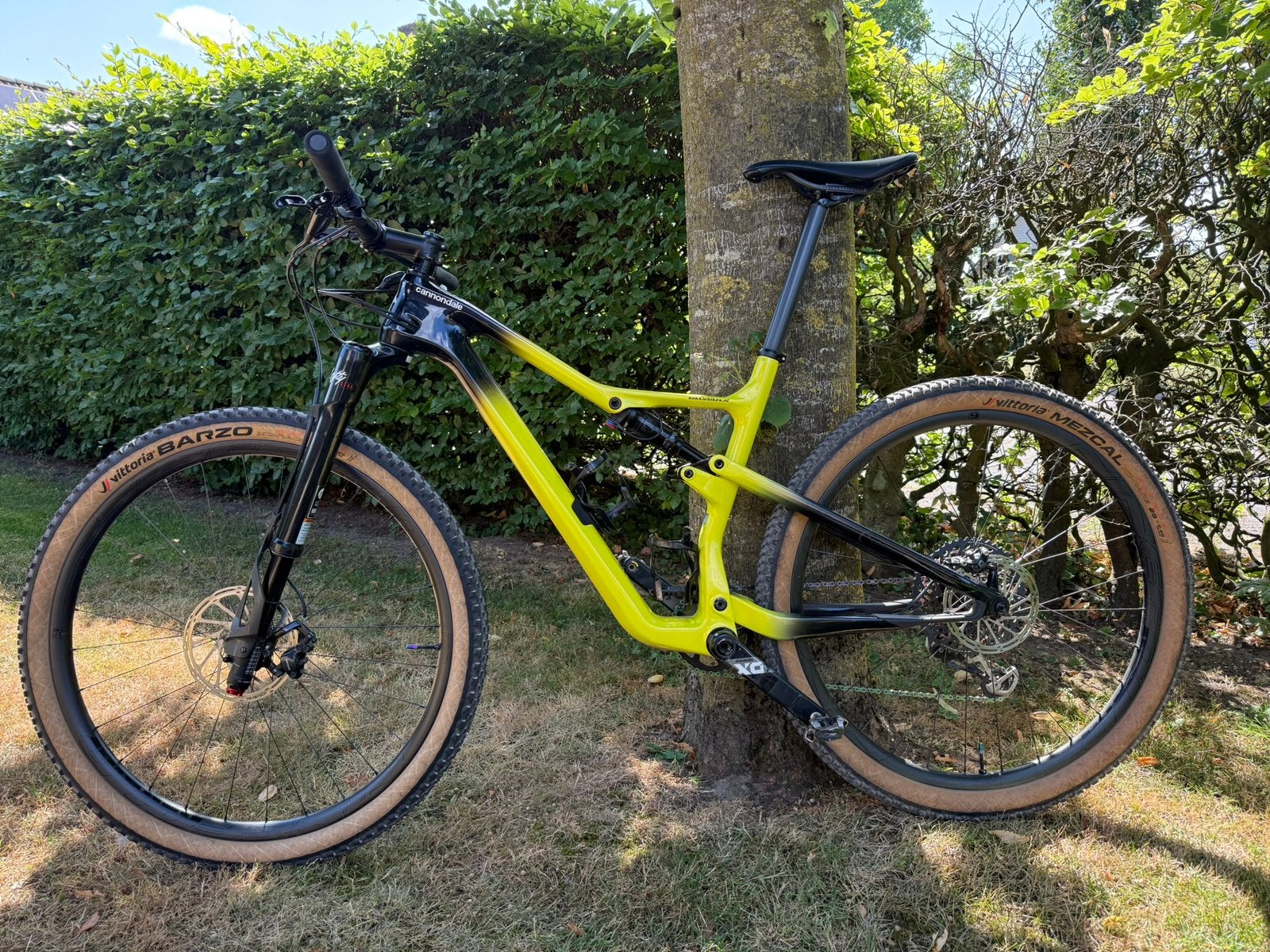 Cannondale Scalpel 2022 custom, Fietsen en Brommers, Overige merken, Ophalen of Verzenden, Zo goed als nieuw, Schijfrem