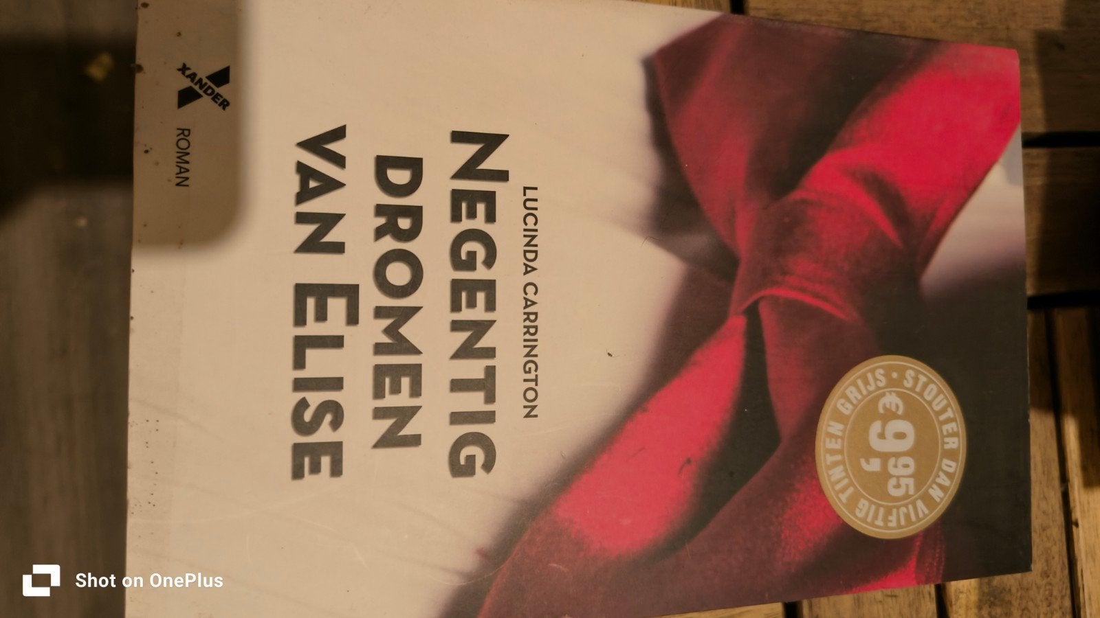 Negentig Dromen van Elise - Lucinda Carrington Roman, Boeken, Ophalen of Verzenden, Zo goed als nieuw, Lucinda Carrington, Nederland