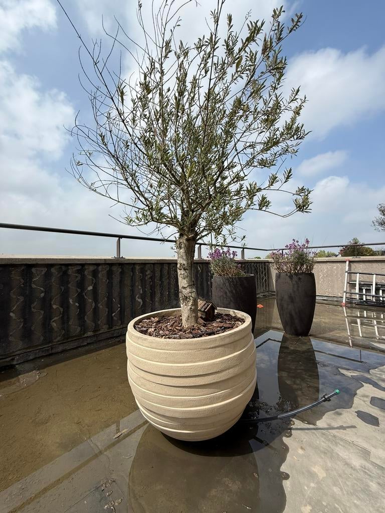 Design pot van Atelier Vierkant, Ophalen, Overige materialen, Rond, Zo goed als nieuw