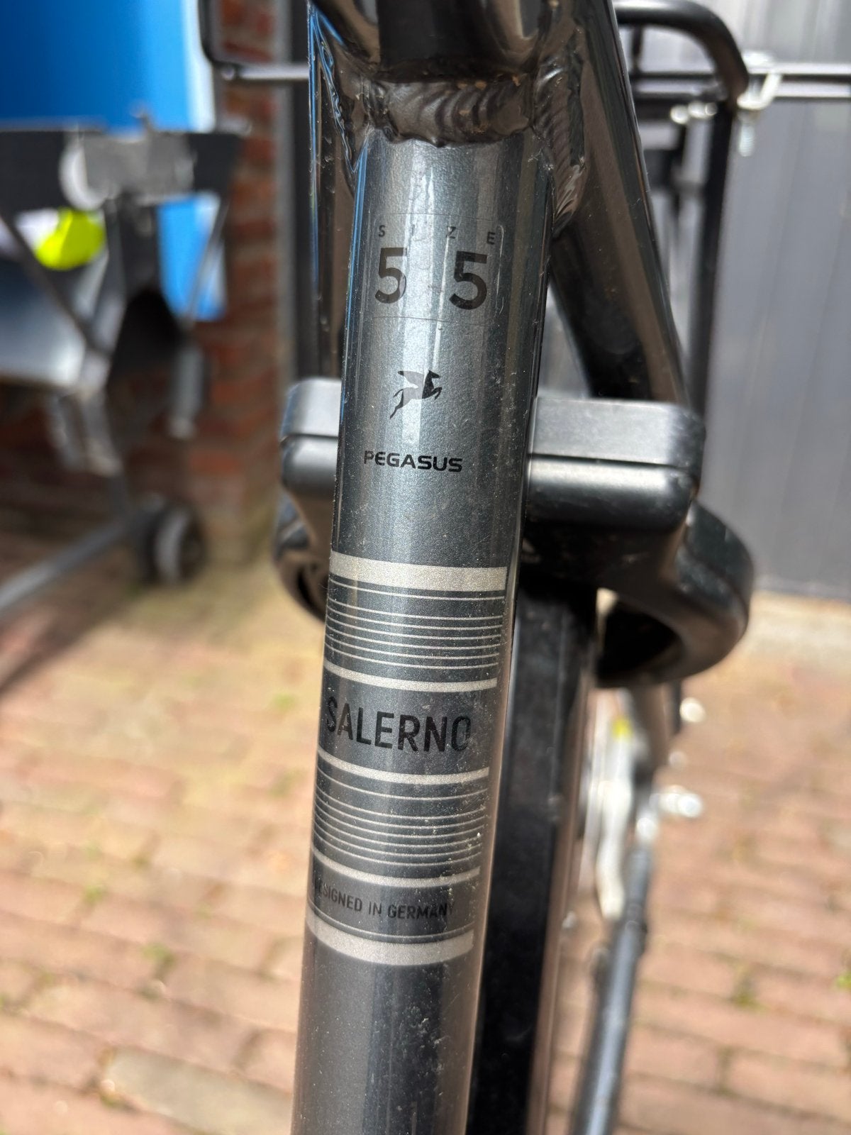 Pegasus Salerno herenfiets - Maat 55, Gebruikt, Versnellingen, 53 tot 57 cm, Ophalen