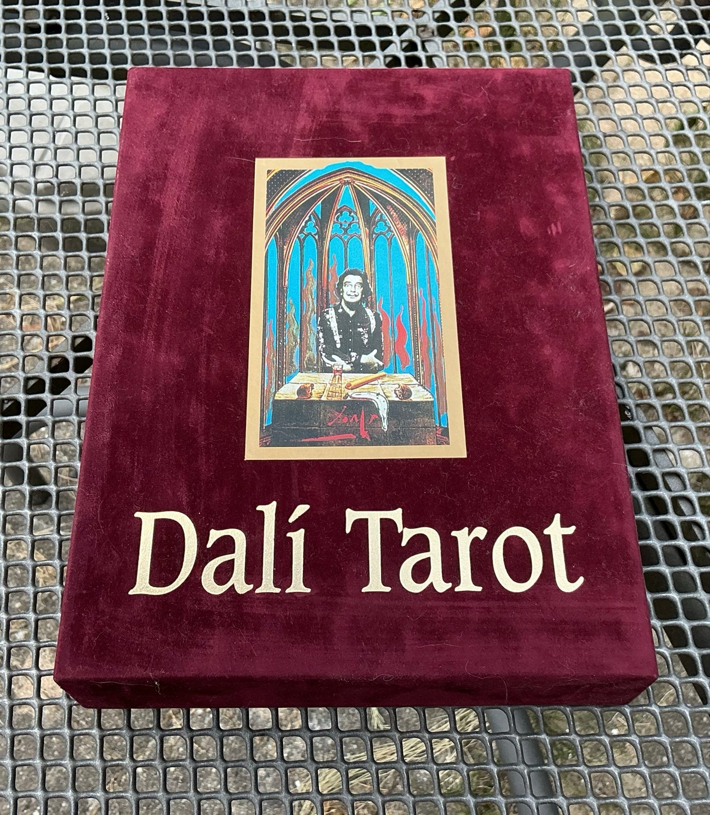 Dali Tarot Jubileumeditie - Boek en Kaarten, Boeken, Ophalen of Verzenden, Zo goed als nieuw, Tarot of Kaarten leggen, Instructieboek