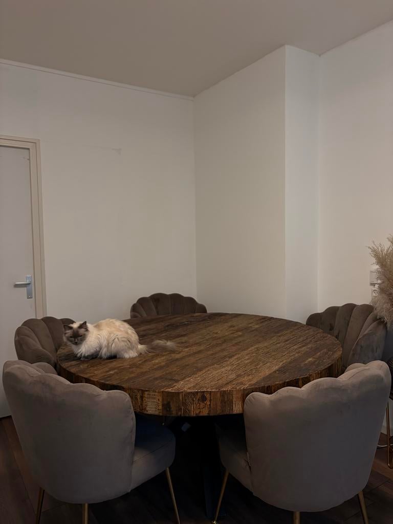 6 grijze fluwelen Richmond eetkamerstoelen met gouden poten, Huis en Inrichting, Stoelen, Ophalen of Verzenden, Zo goed als nieuw