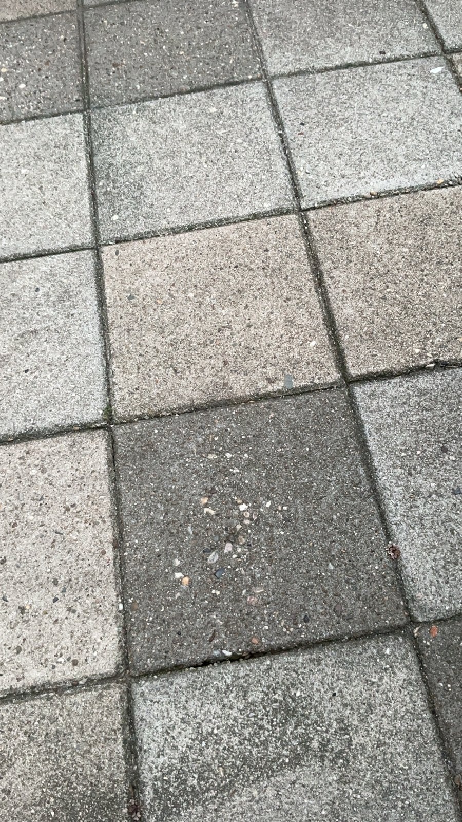 Gebruikte betontegels (97stuks) voor terras of pad 30x30, Tuin en Terras, Ophalen, Gebruikt, Minder dan 5 m², Beton