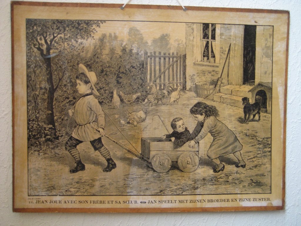 ANTIEKE SCHOOLPLAAT, Antiek en Kunst, Antiek | Schoolplaten, Ophalen of Verzenden, Natuur en Biologie