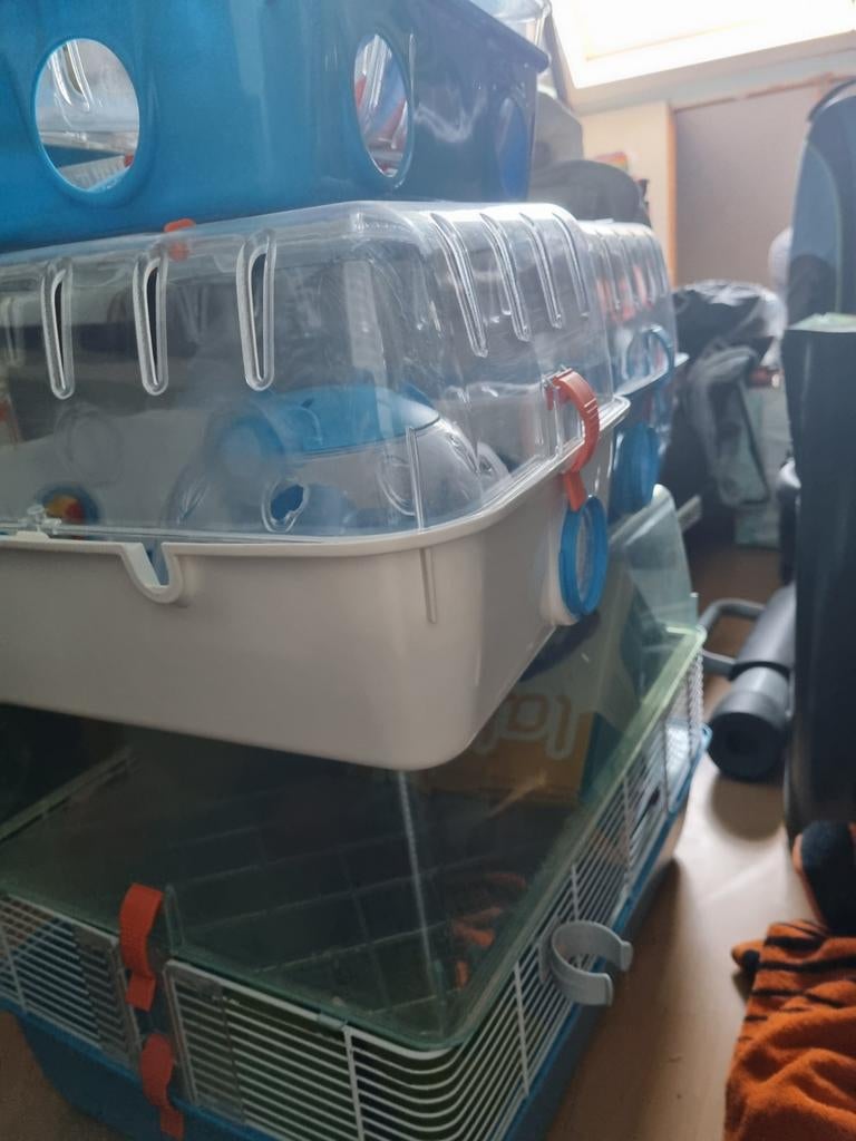 Hamsterhokken met toebehoren, Dieren en Toebehoren, Knaagdieren en Konijnen | Hokken en Kooien, Ophalen, Minder dan 75 cm, Kooi