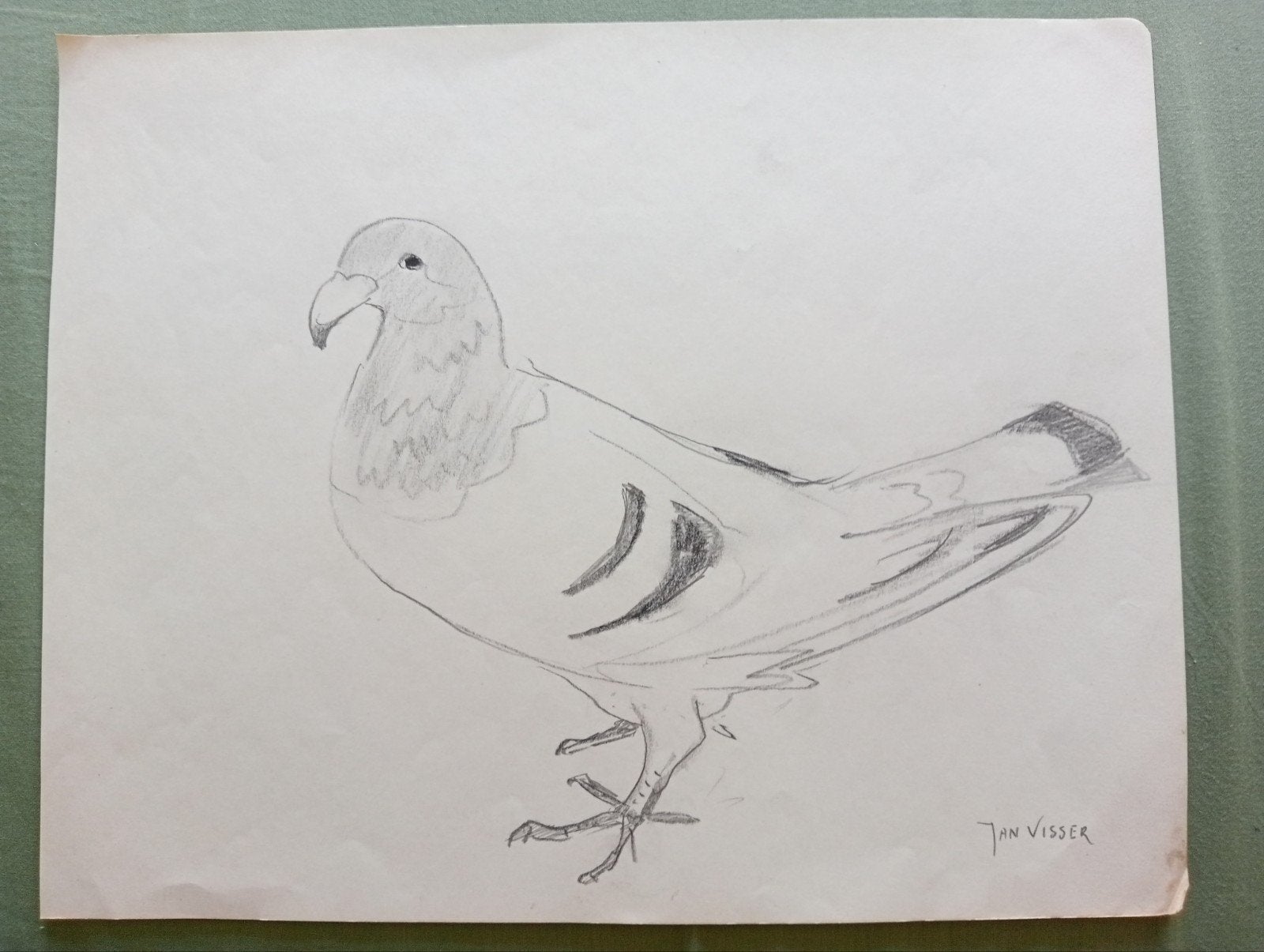 Jan Visser tekening Duif jaren 40-50, Antiek en Kunst, Kunst | Tekeningen en Foto's, Ophalen of Verzenden