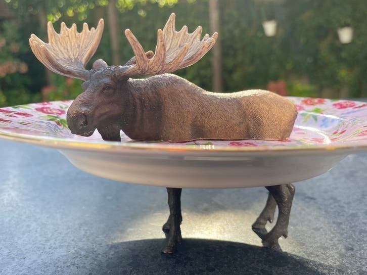 Uniek bloemetjesbord met eland, Overige stijlen, Nieuw, Ophalen of Verzenden, Bruin