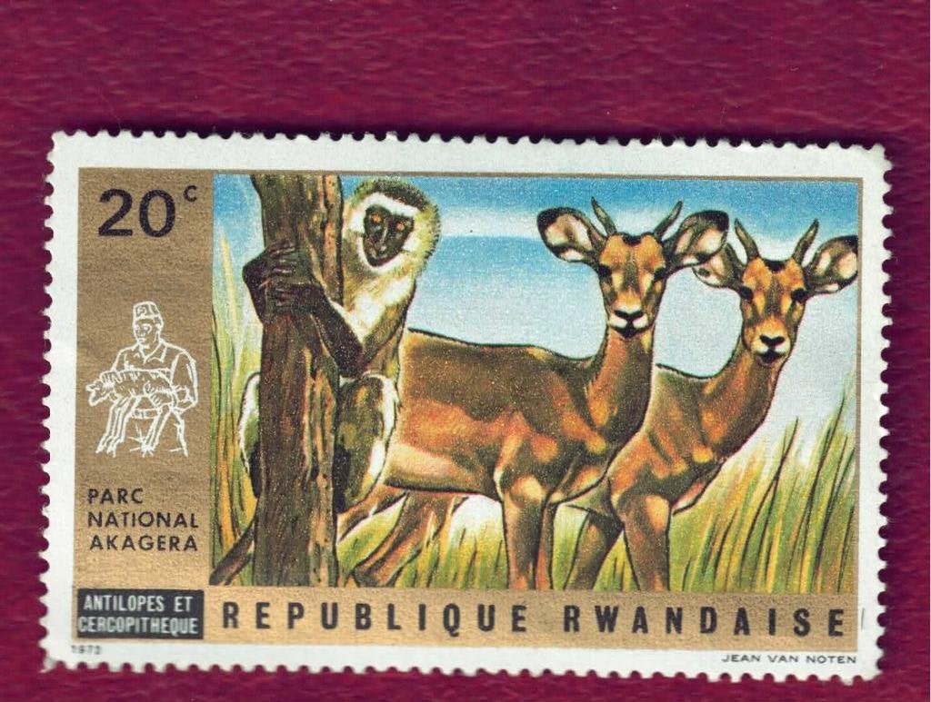 Fauna - Dieren - Antilope - Rwanda - 20c - (jr.'72) p.fr., Ophalen of Verzenden, Postfris, Dier of Natuur