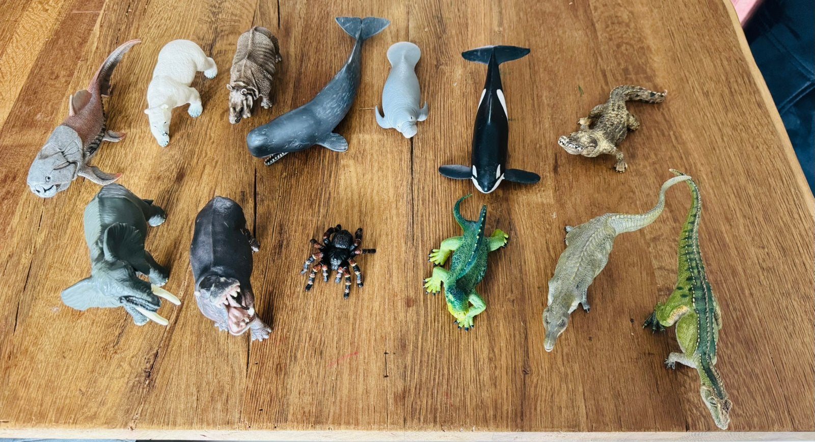 Schleich en papo dieren verzameling 13 st, Ophalen of Verzenden, Zo goed als nieuw, Jongen of Meisje