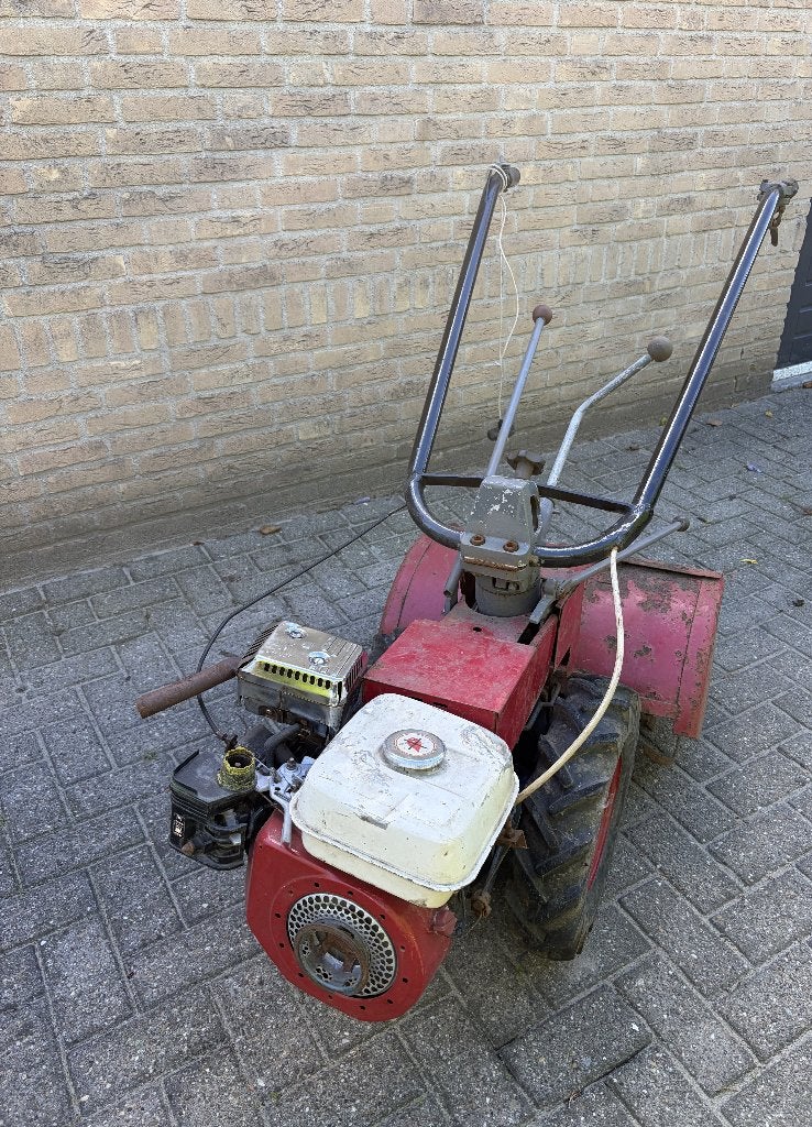Tuinfrees, Tuin en Terras, Ophalen, Gebruikt, Overige soorten, Onbekend
