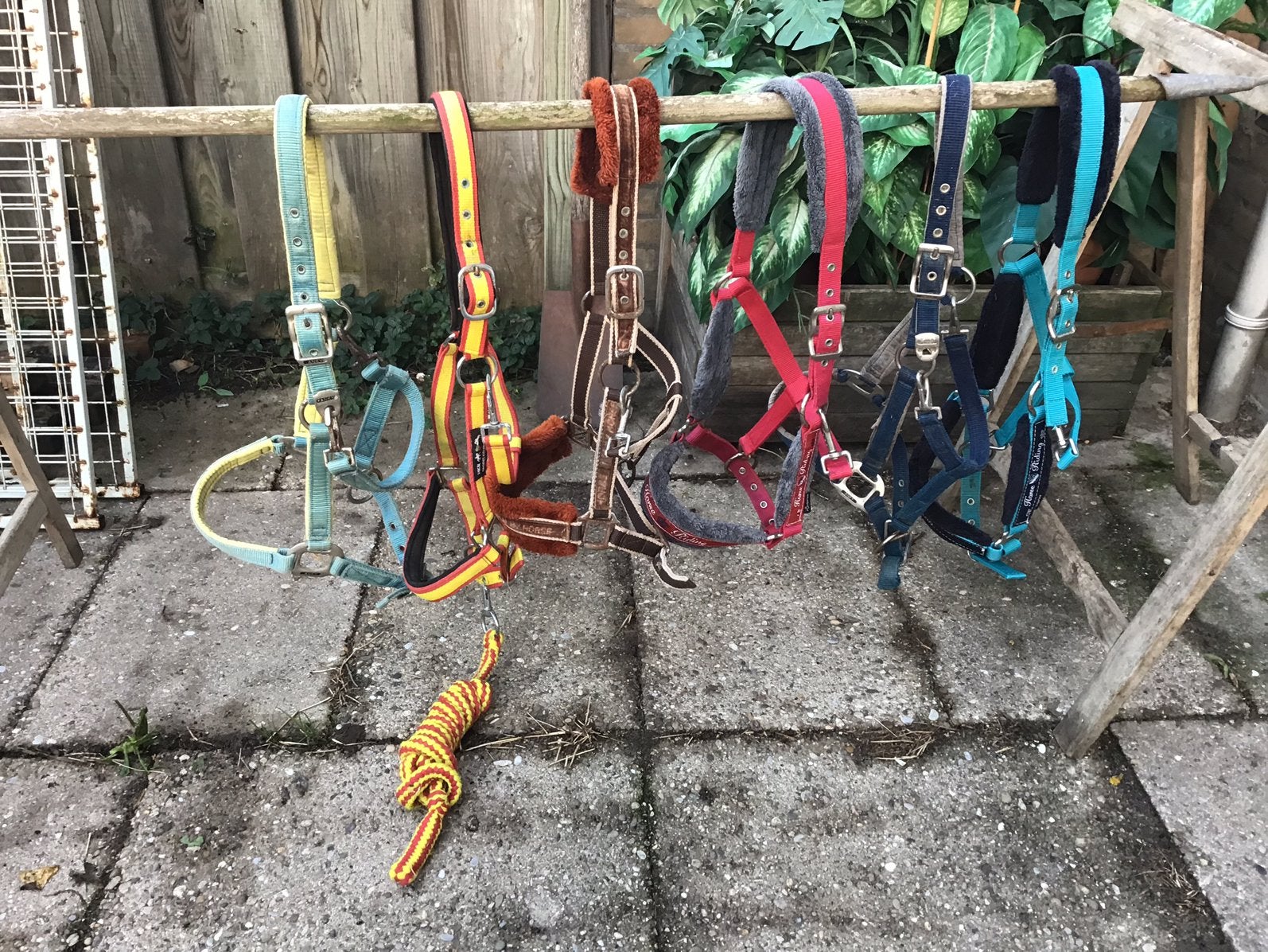 Halsters full, Dieren en Toebehoren, Bruin, Ophalen of Verzenden, Met bont, Anky