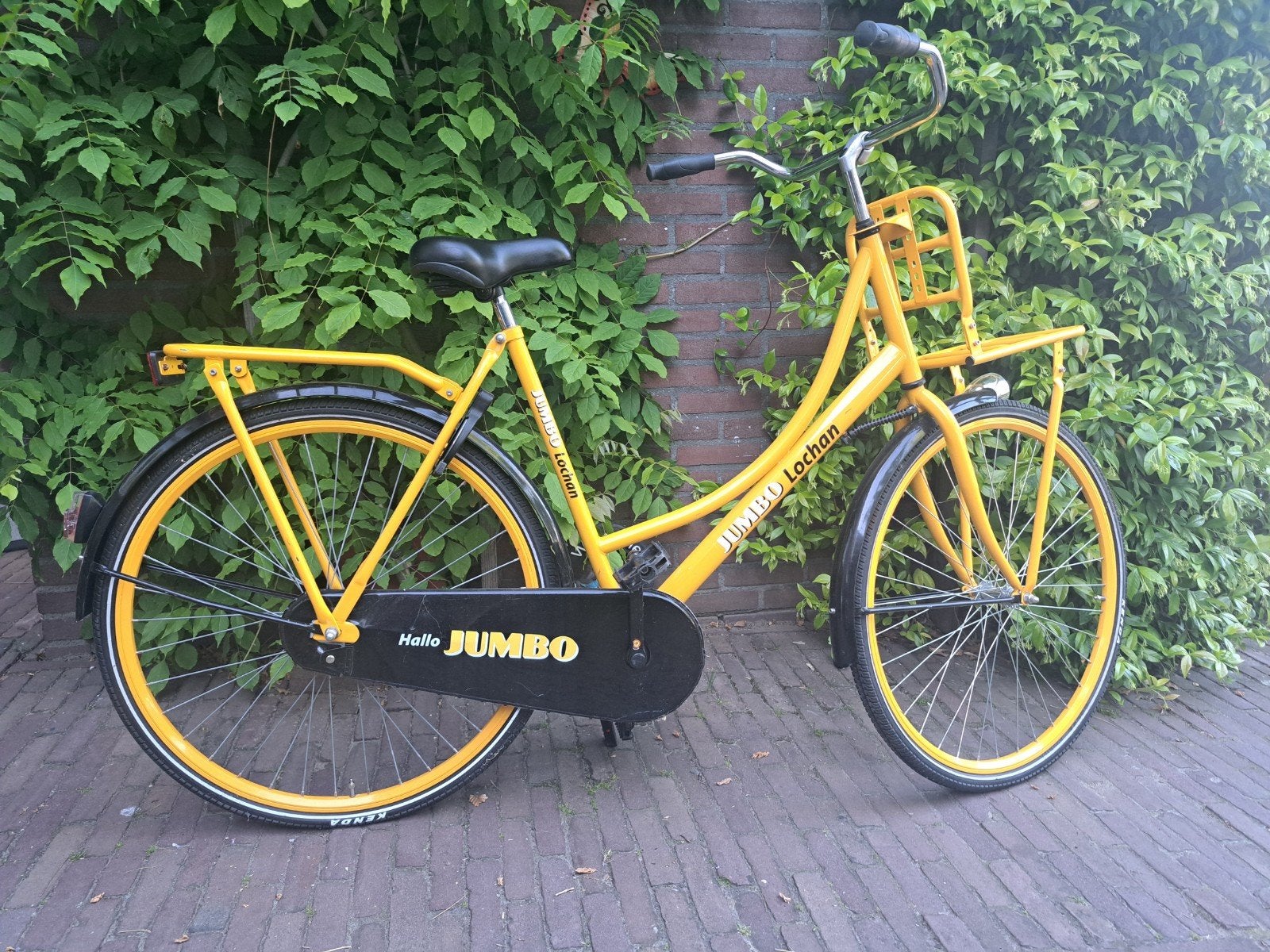 Jumbo Omafiets 56 cm - Jubileum Limited Editie, Ophalen, Terugtraprem, Jumbo, 56 cm of meer