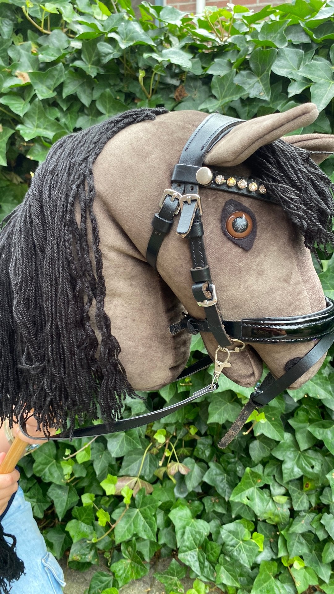 Hobby horse, Ophalen of Verzenden, Jongen of Meisje