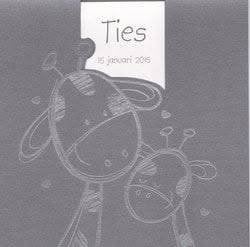 Ties, Ophalen of Verzenden, 2000 tot heden, Geboortekaartje