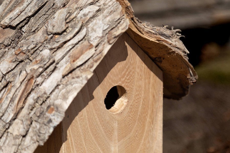 Vogelhuisjes & nestkasten | Mooi cadeau van lokaal hout, Ophalen, Nieuw